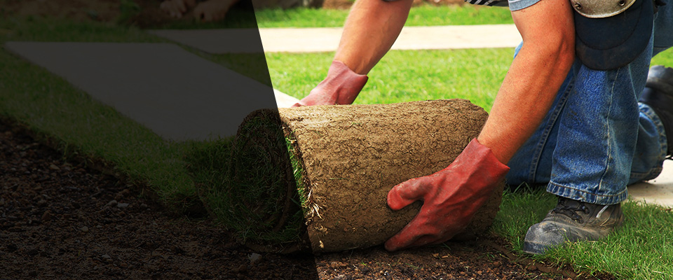 Piscataway Landscapers